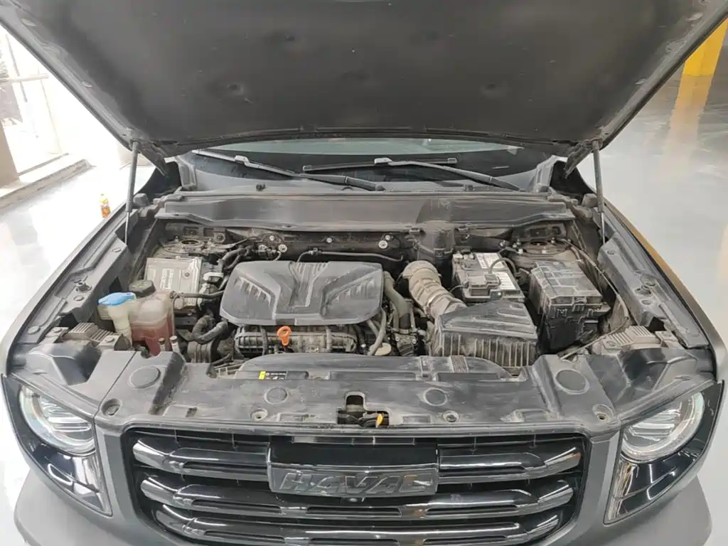 Haval Big Dog — миниатюра 20
