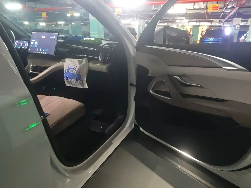 BYD Pro New Energy — миниатюра 19