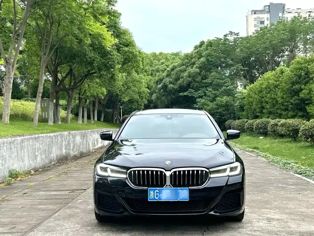 BMW 5 Series 5 2021 530Li Lead Luxury