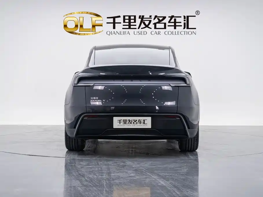 Tesla Model Y — миниатюра 2