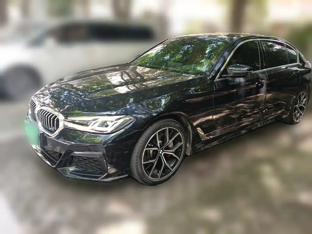 BMW 5 Series — миниатюра 2