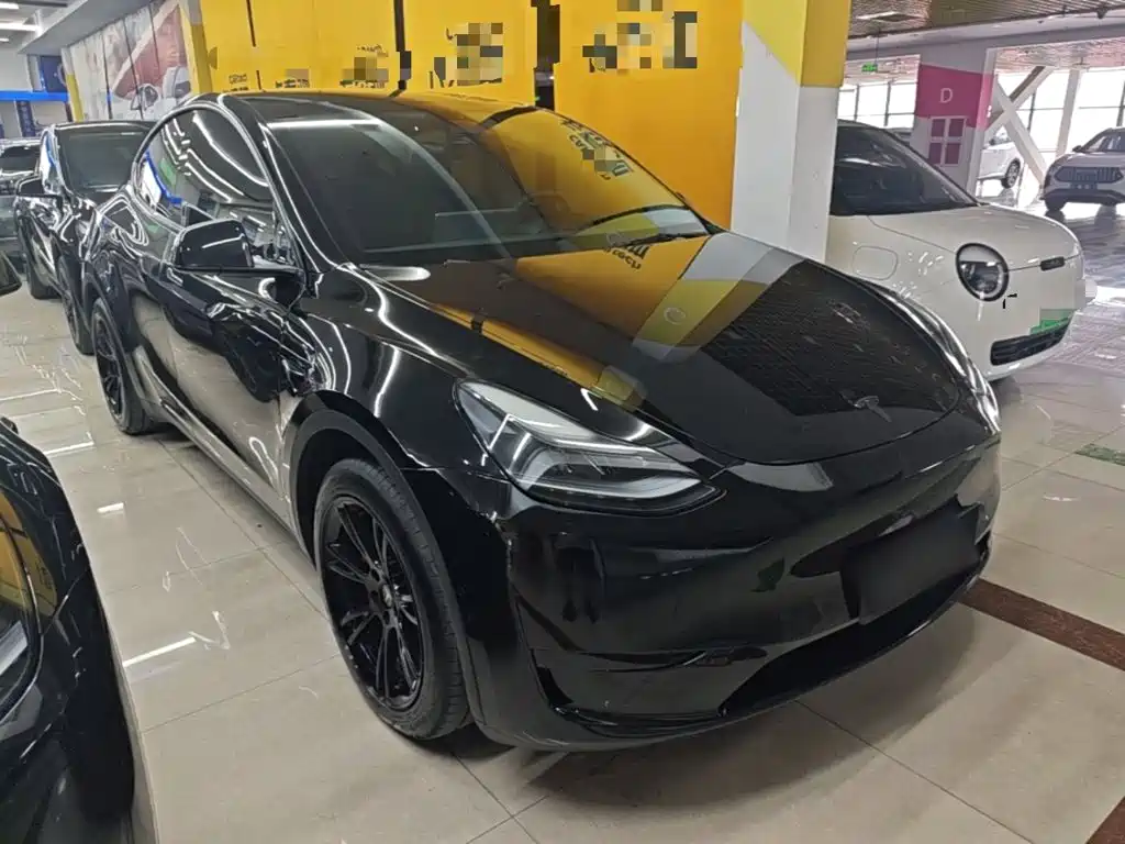 Tesla Model Y — миниатюра 4