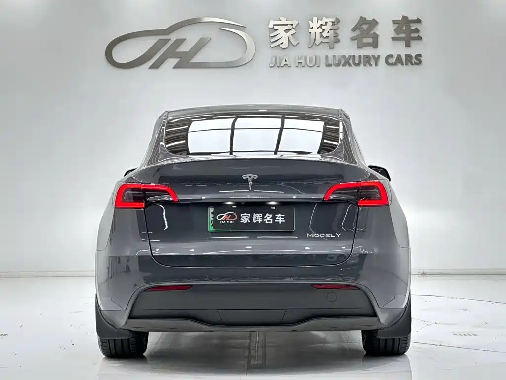 Tesla Model Y — миниатюра 6