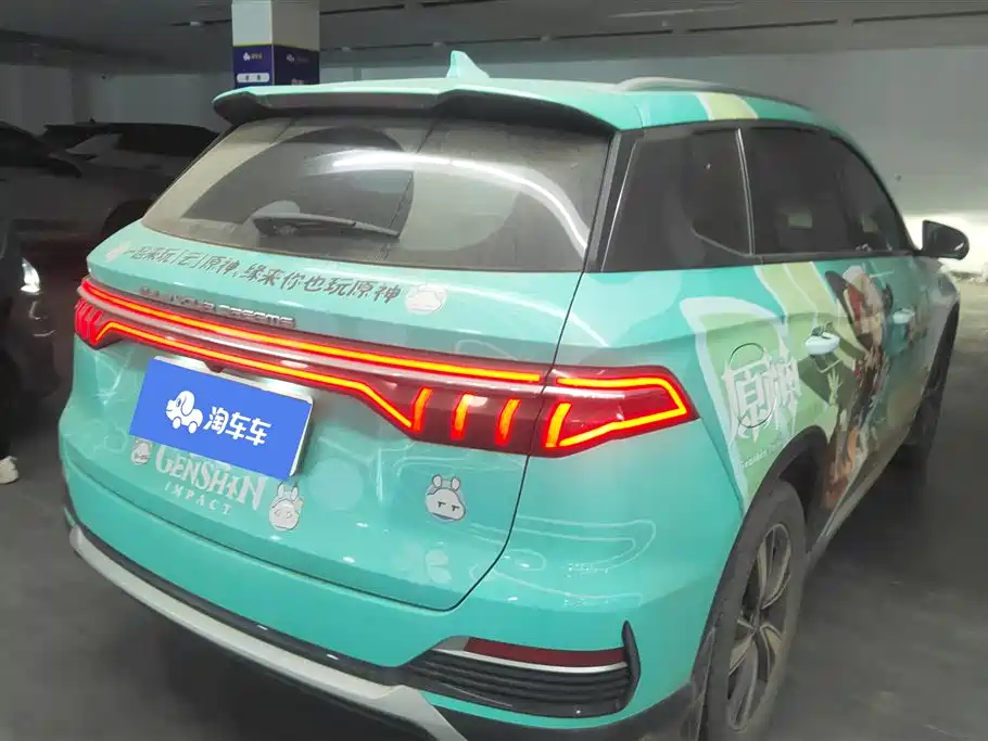 BYD SONGJIANG NEW ENERGY