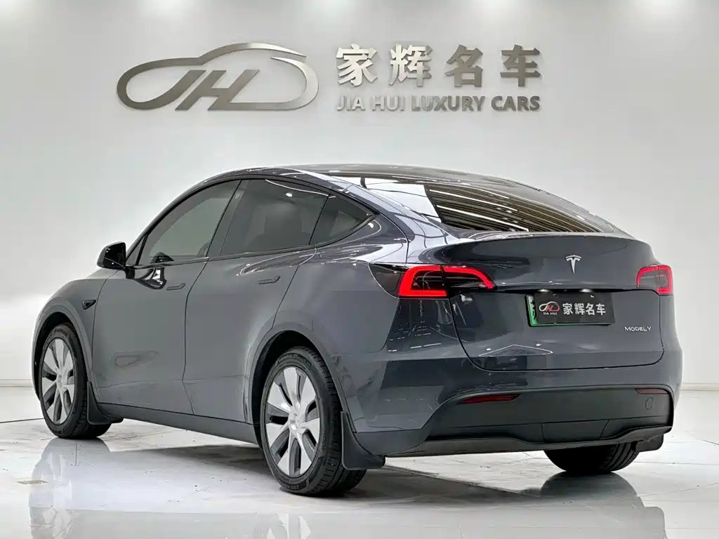Tesla Model Y — миниатюра 5