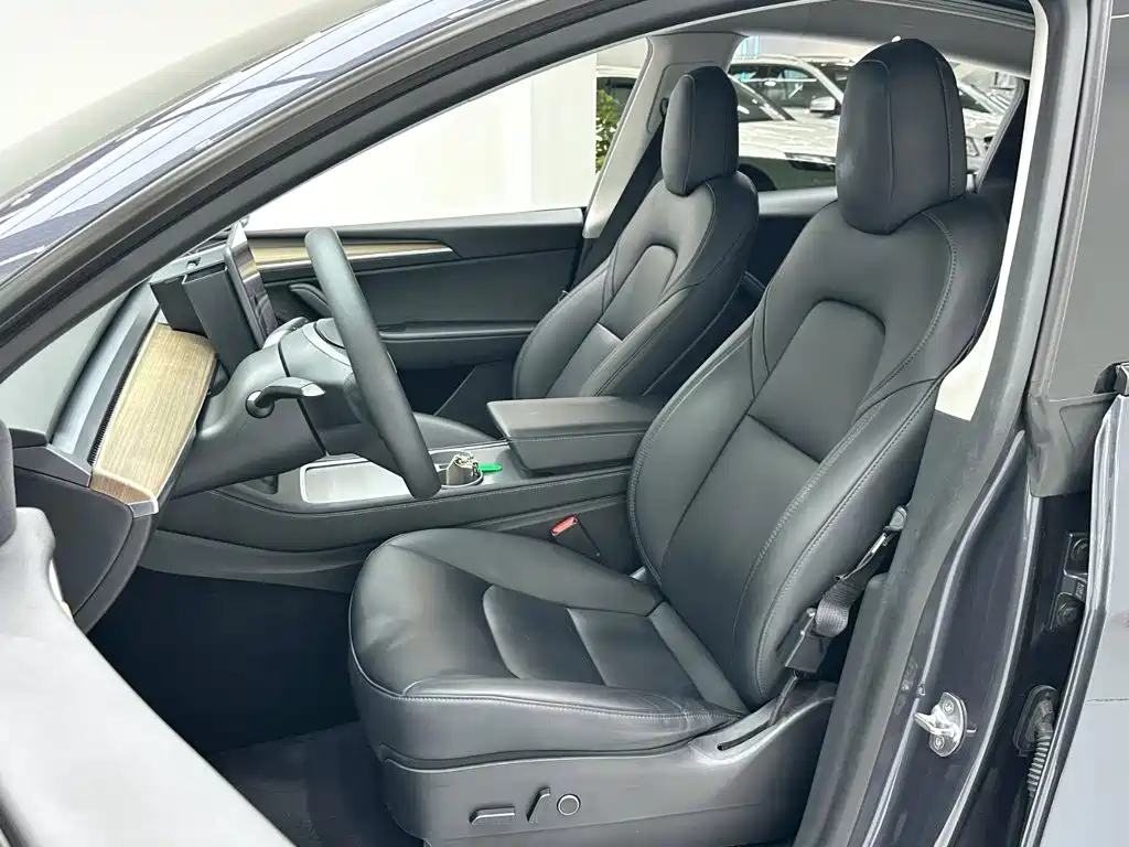 Tesla Model Y — миниатюра 8