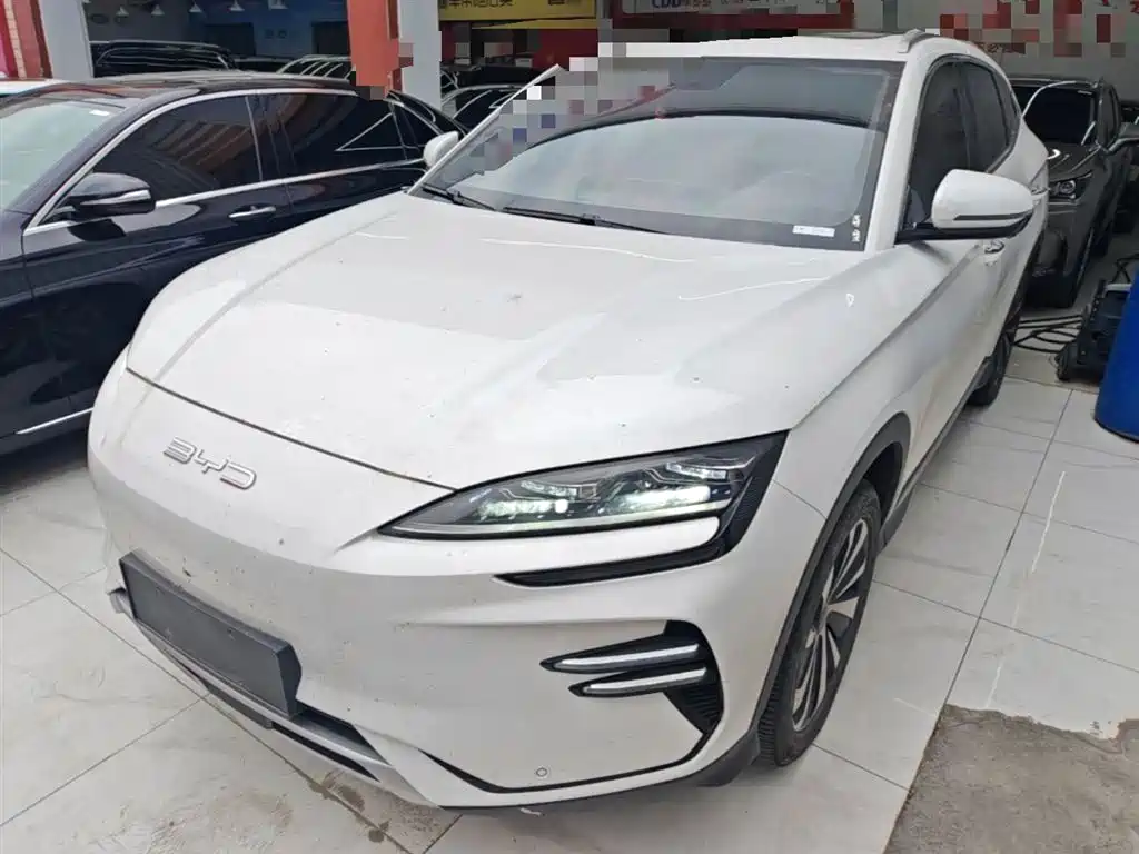 Byd PLUS New Energy 2024