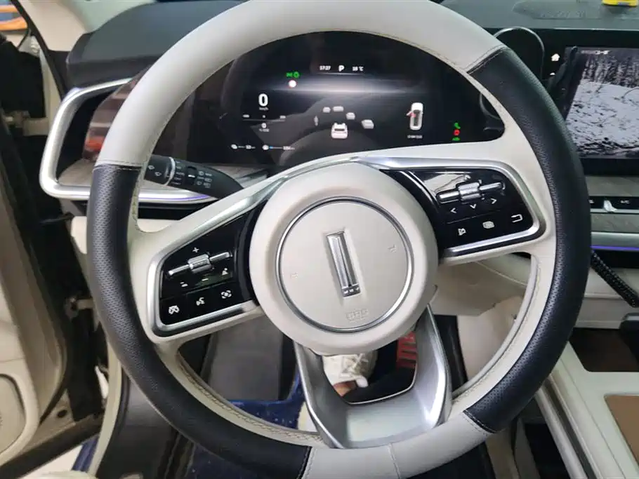 WEI PAI WEI BRAND BLUE MOUNTAIN