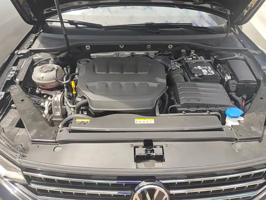 Volkswagen Magotan 2025 330TSI DSG Luxury