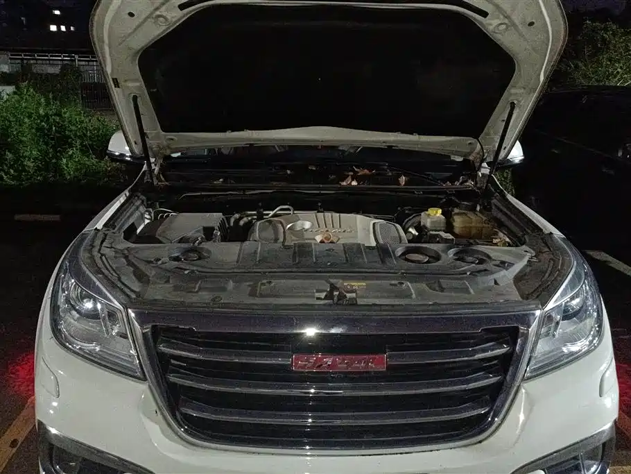 HAVAL H9