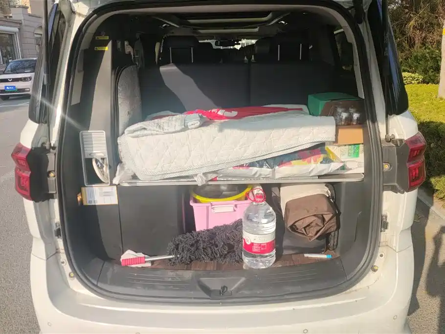 SAIC MAXUS CHASE G20