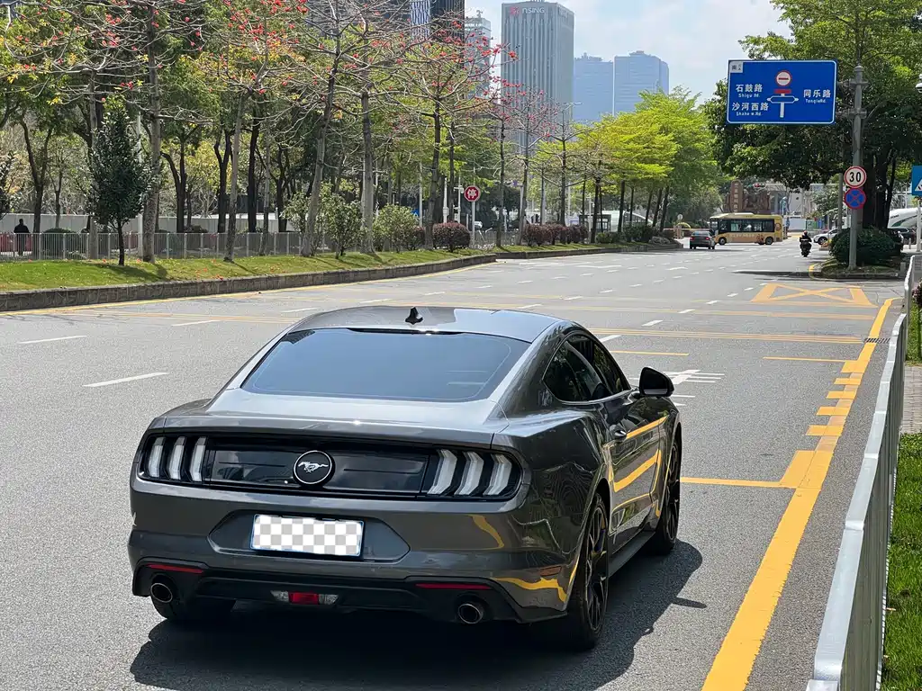 Ford Mustang — миниатюра 17