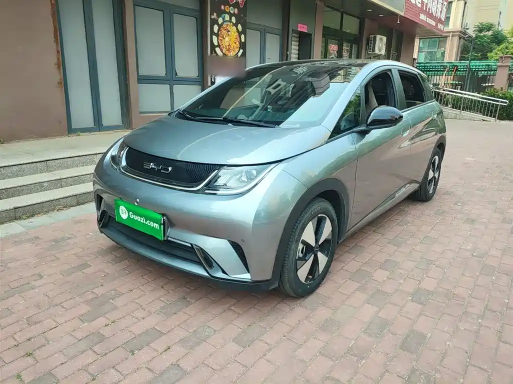 Byd Dolphin 2023