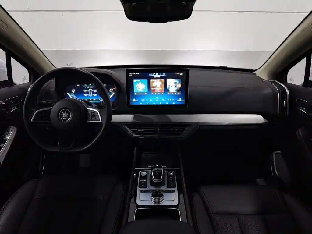 BYD Tang New Energy — миниатюра 5