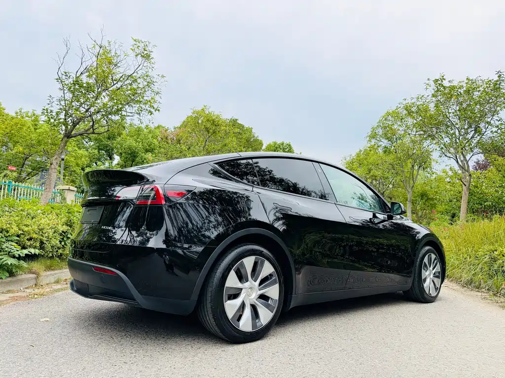 Tesla Model Y — миниатюра 14