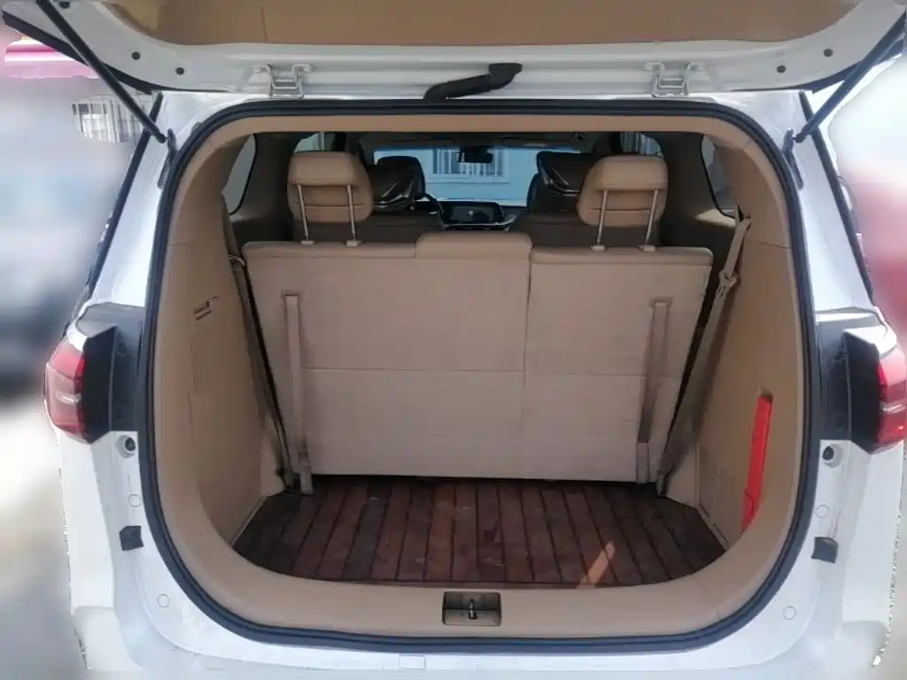 Buick GL8 — миниатюра 24