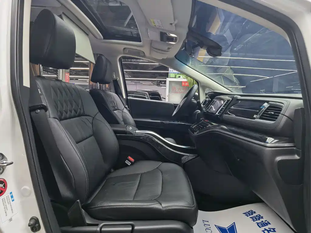 Honda Elysion — миниатюра 8
