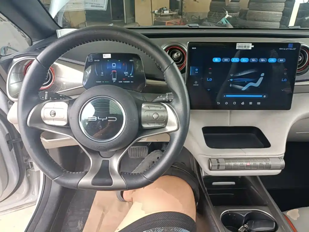 BYD Dolphin — миниатюра 10