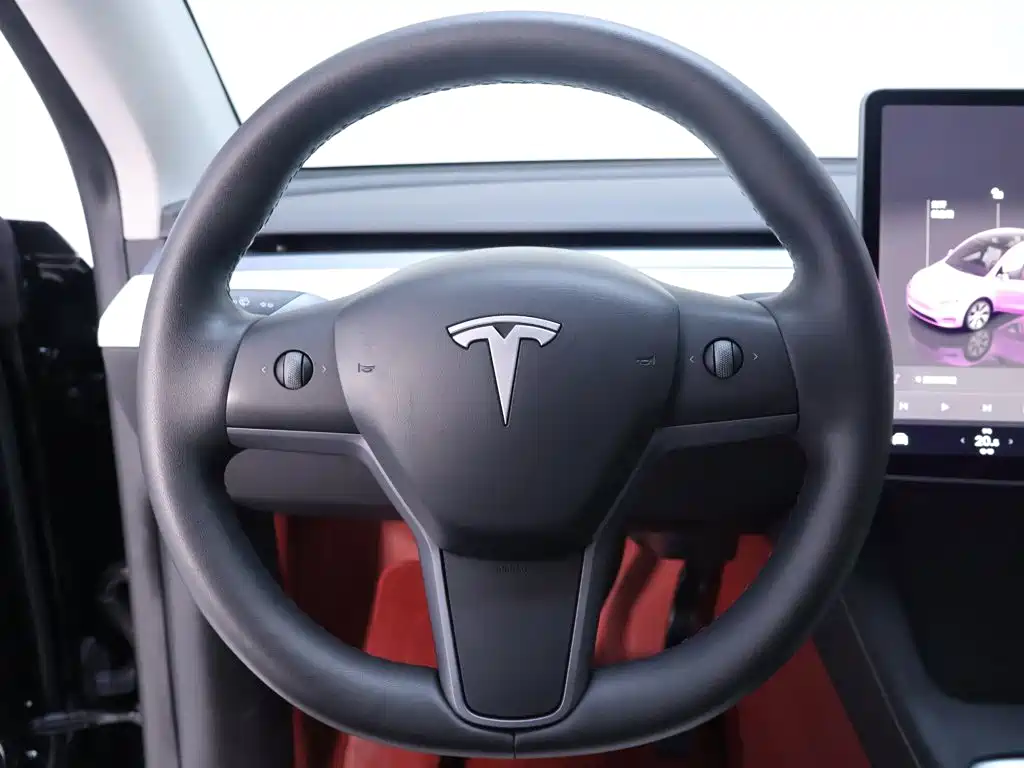 Tesla Model Y — миниатюра 16