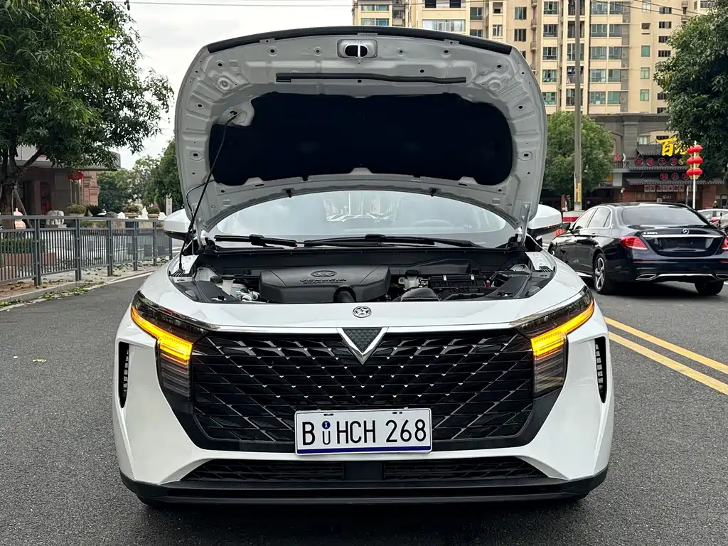 Venucia V — миниатюра 14