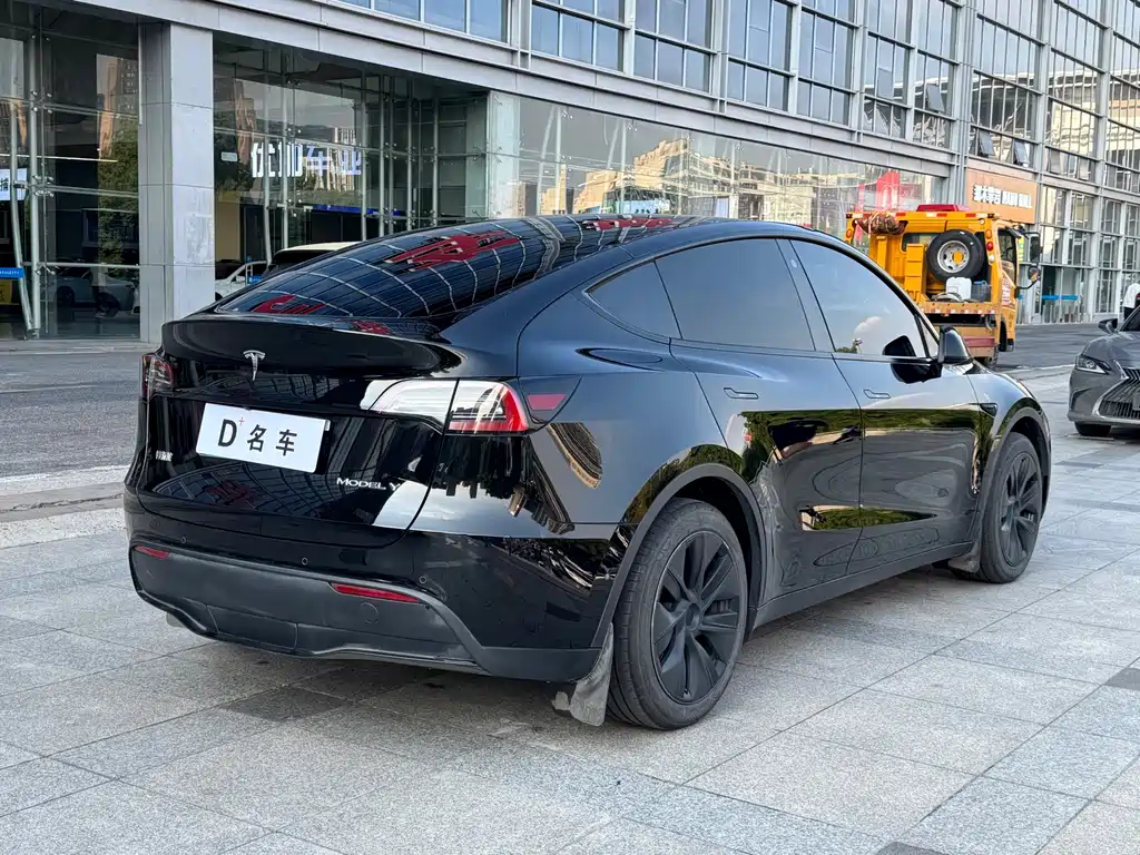 Tesla Model Y — миниатюра 10