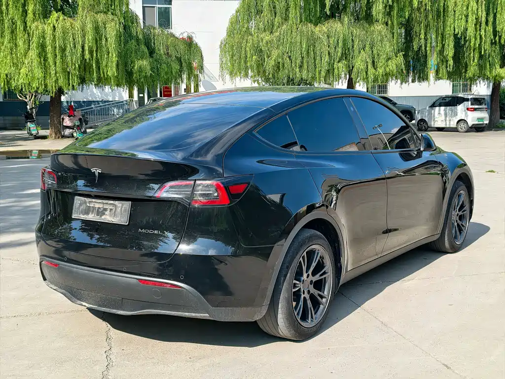 Tesla Model Y — миниатюра 3