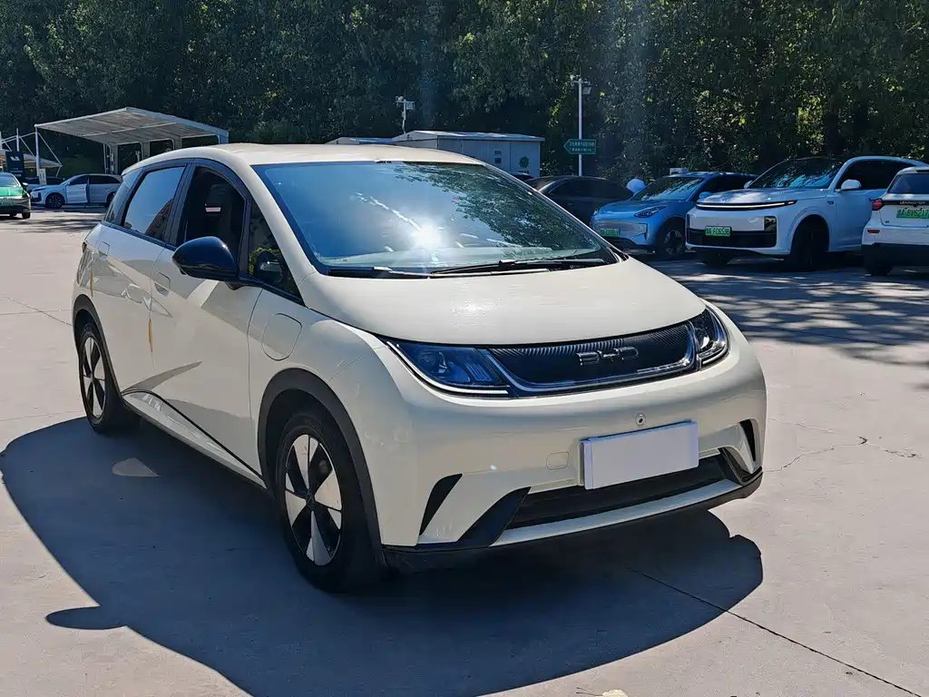 BYD Dolphin — миниатюра 3