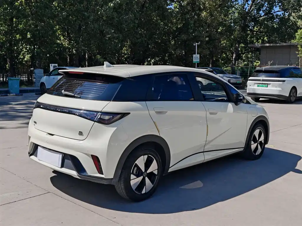 BYD Dolphin — миниатюра 9