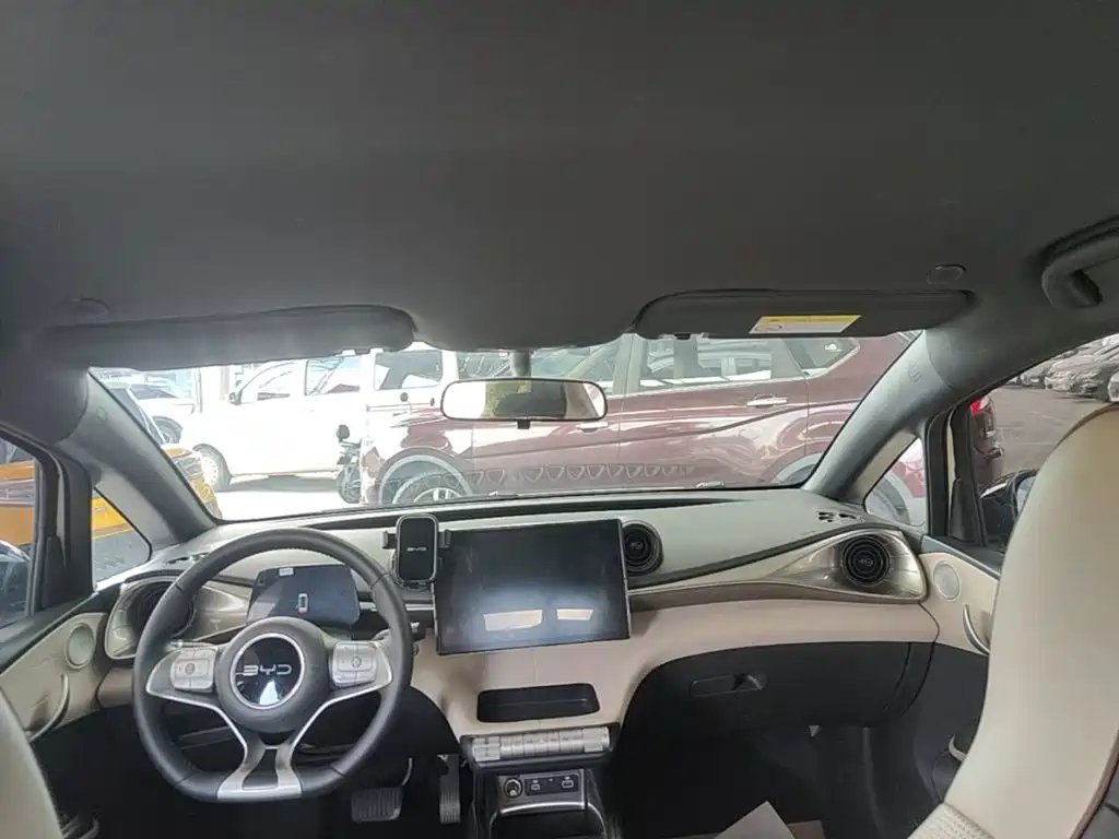 BYD Dolphin — миниатюра 18