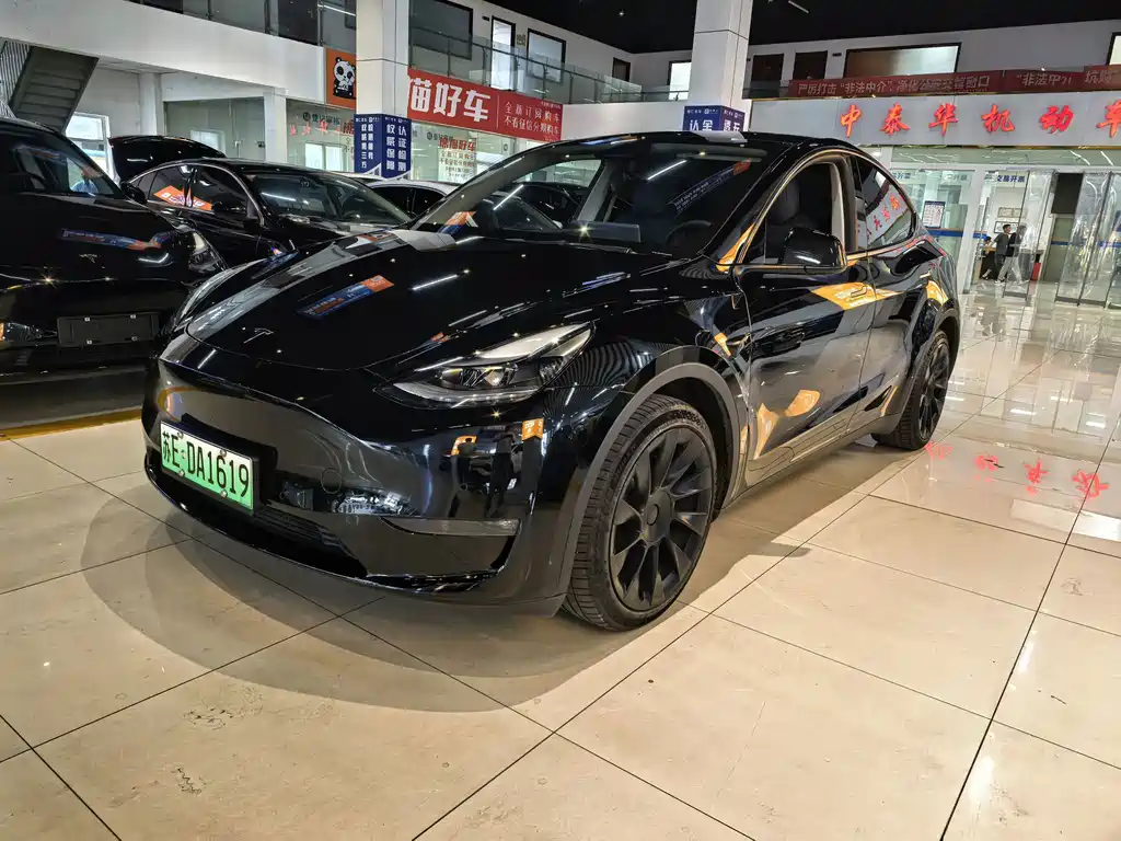 Tesla Model Y — миниатюра 3