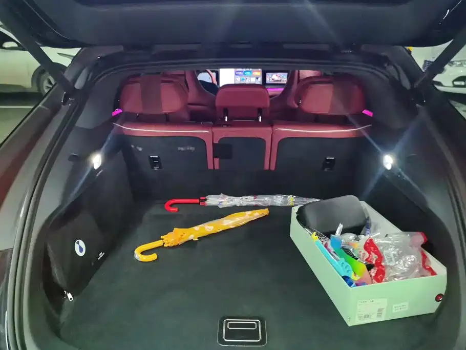 Denza Denza Z9GT — миниатюра 4