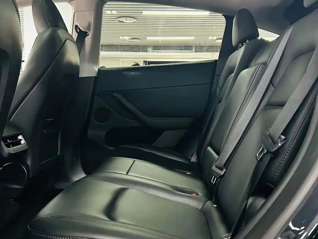 Tesla Model Y — миниатюра 7