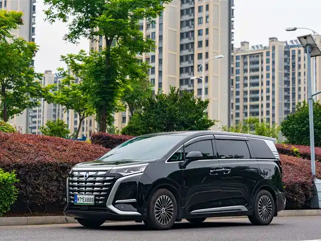 2025 Denza D9