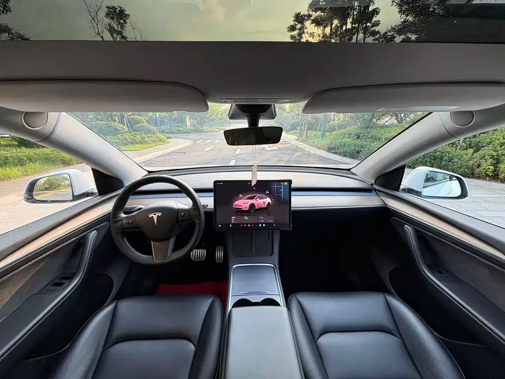 Tesla Model Y — миниатюра 14