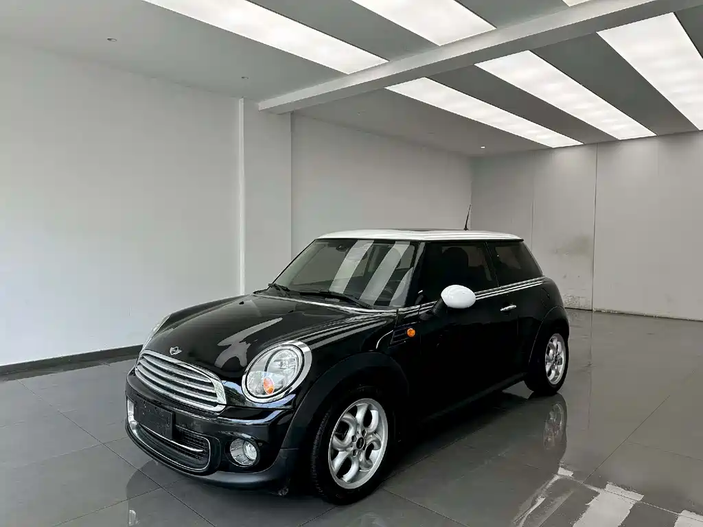 Mini Mini 2014