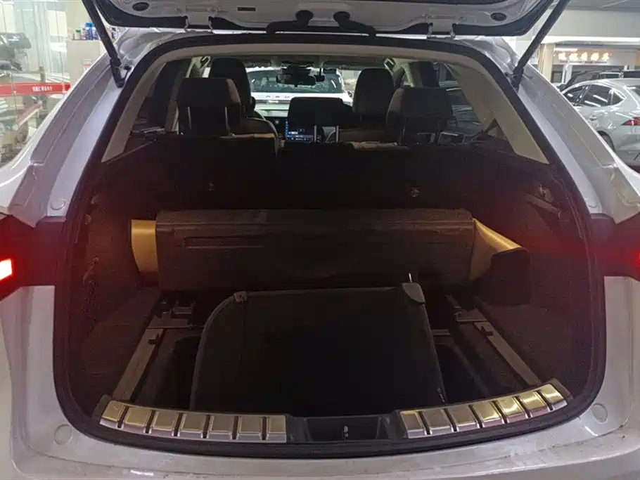 LEXUS  NX