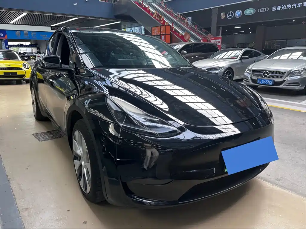 Tesla Model Y — миниатюра 2