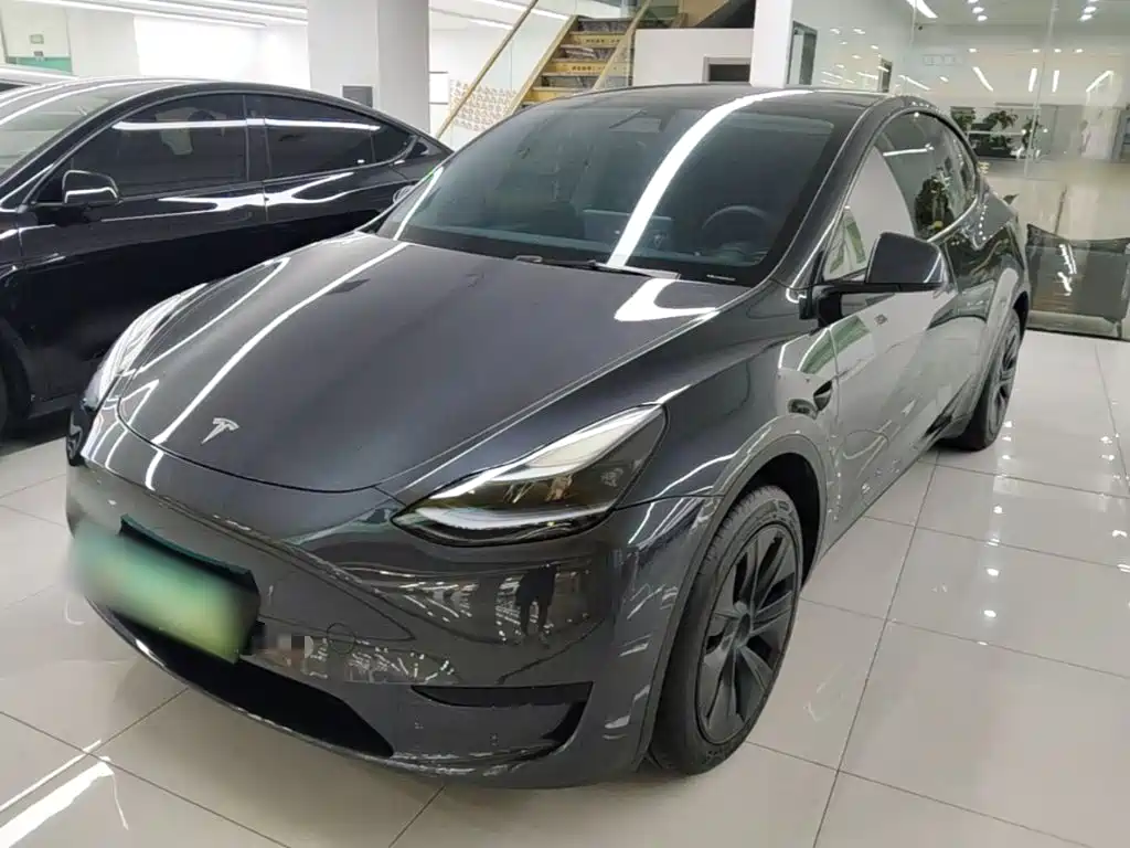 Tesla Model Y — миниатюра 2