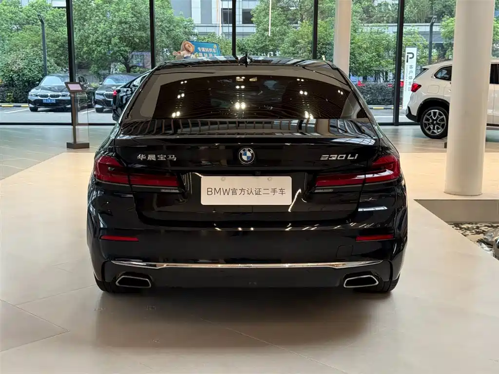 BMW 5 Series — миниатюра 15