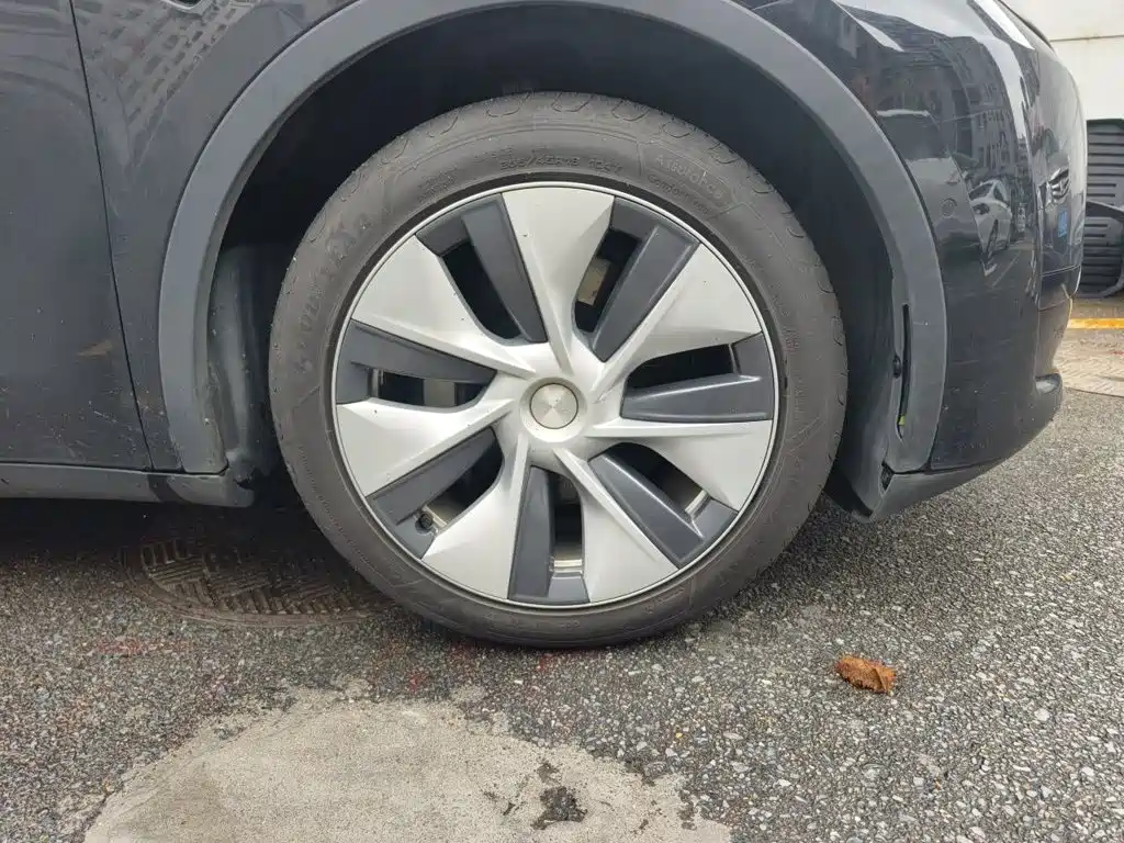 Tesla Model Y — миниатюра 25