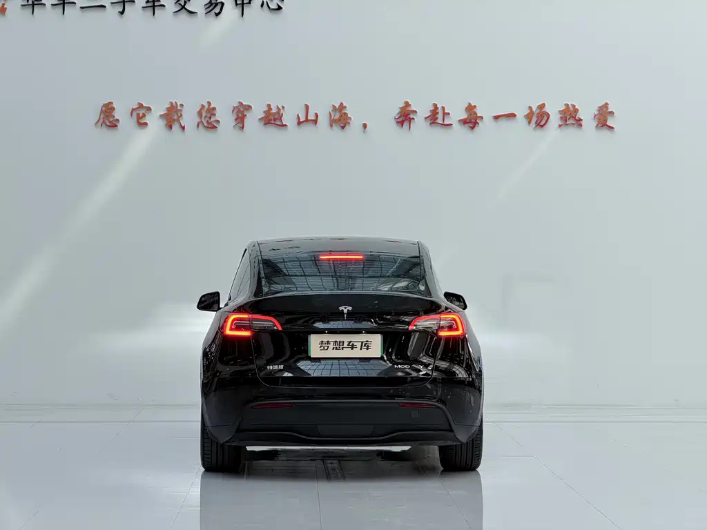 Tesla Model Y — миниатюра 6