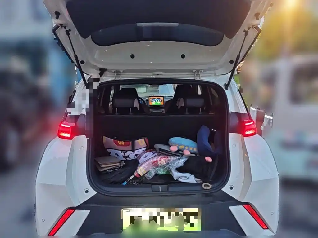 BYD Seagull — миниатюра 10