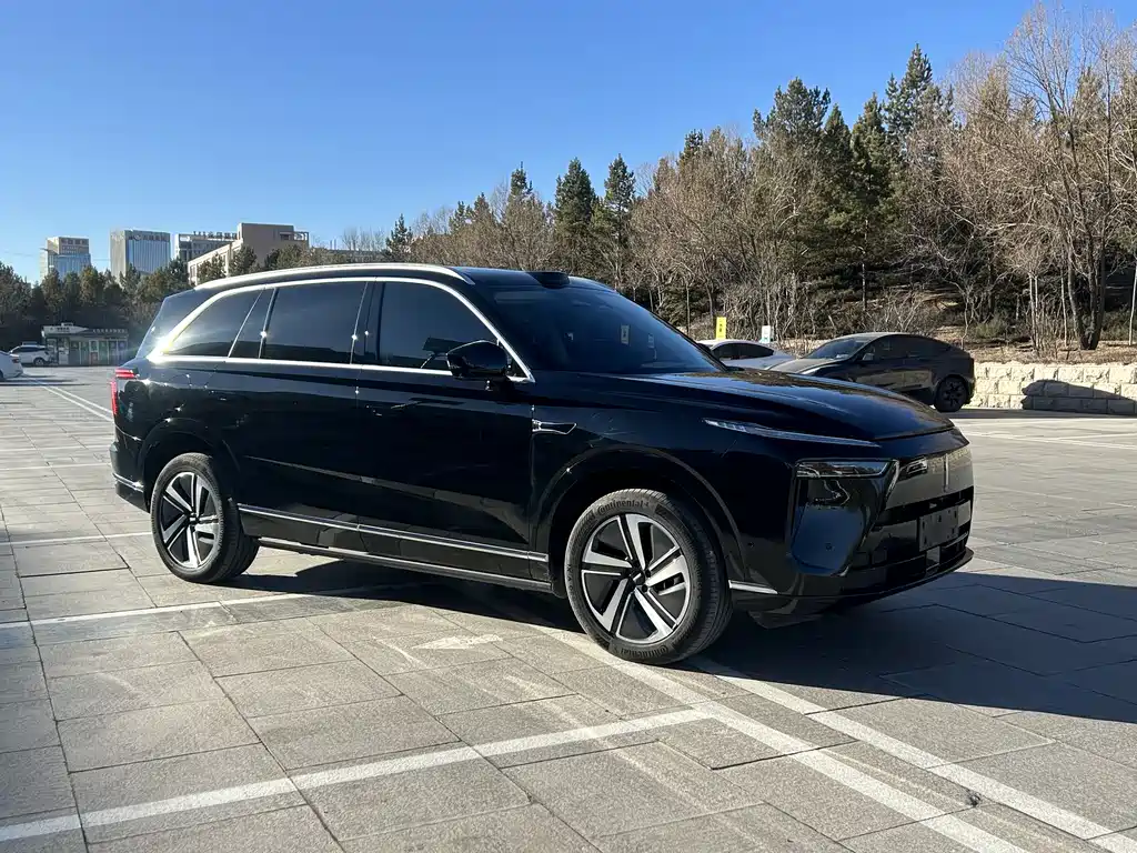 WEI PAI WEI BRAND BLUE MOUNTAIN