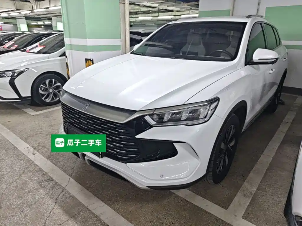 BYD Pro New Energy — миниатюра 2