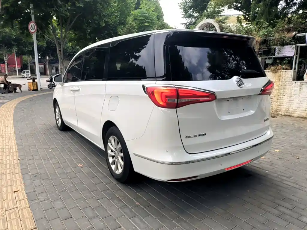 Buick GL8 — миниатюра 5