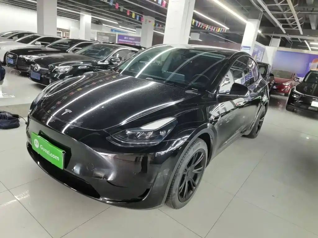 Tesla Model Y — миниатюра 2