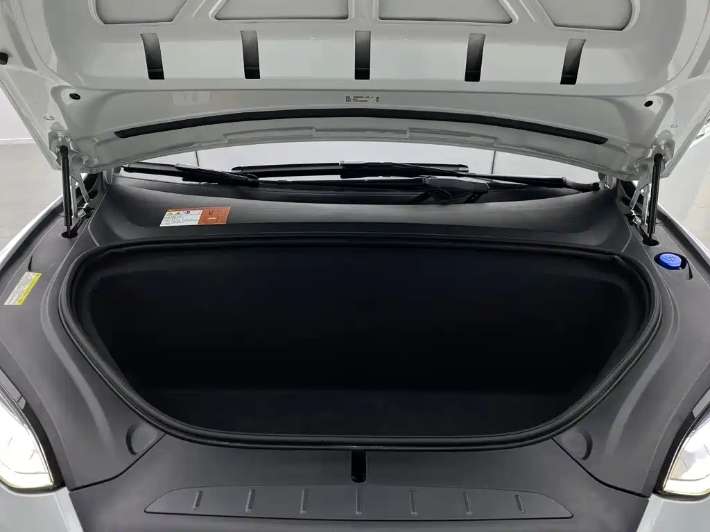 Tesla Model X — миниатюра 9