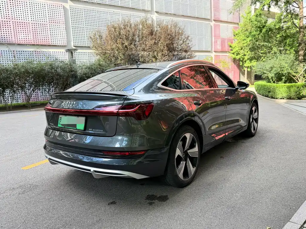 Audi e-tron (Import) — миниатюра 14