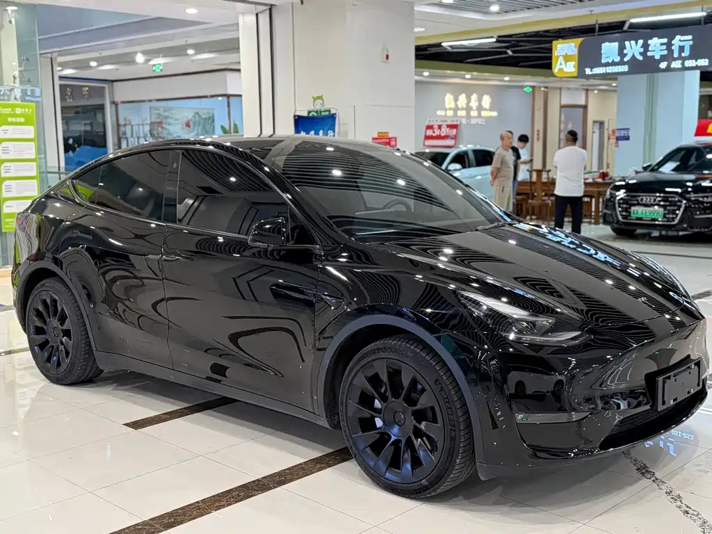 Tesla Model Y — миниатюра 3