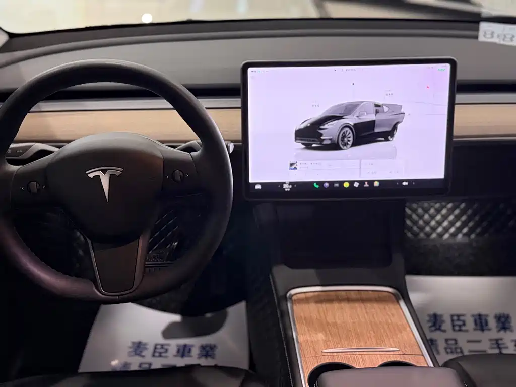 Tesla Model Y — миниатюра 6